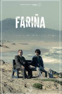 Serie: Fariña