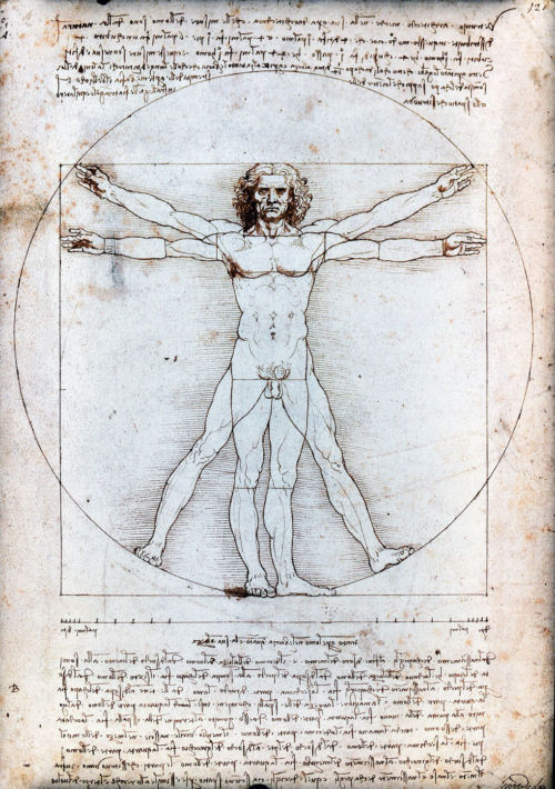 Hombre de Vitruvio, por Leonardo da Vinci