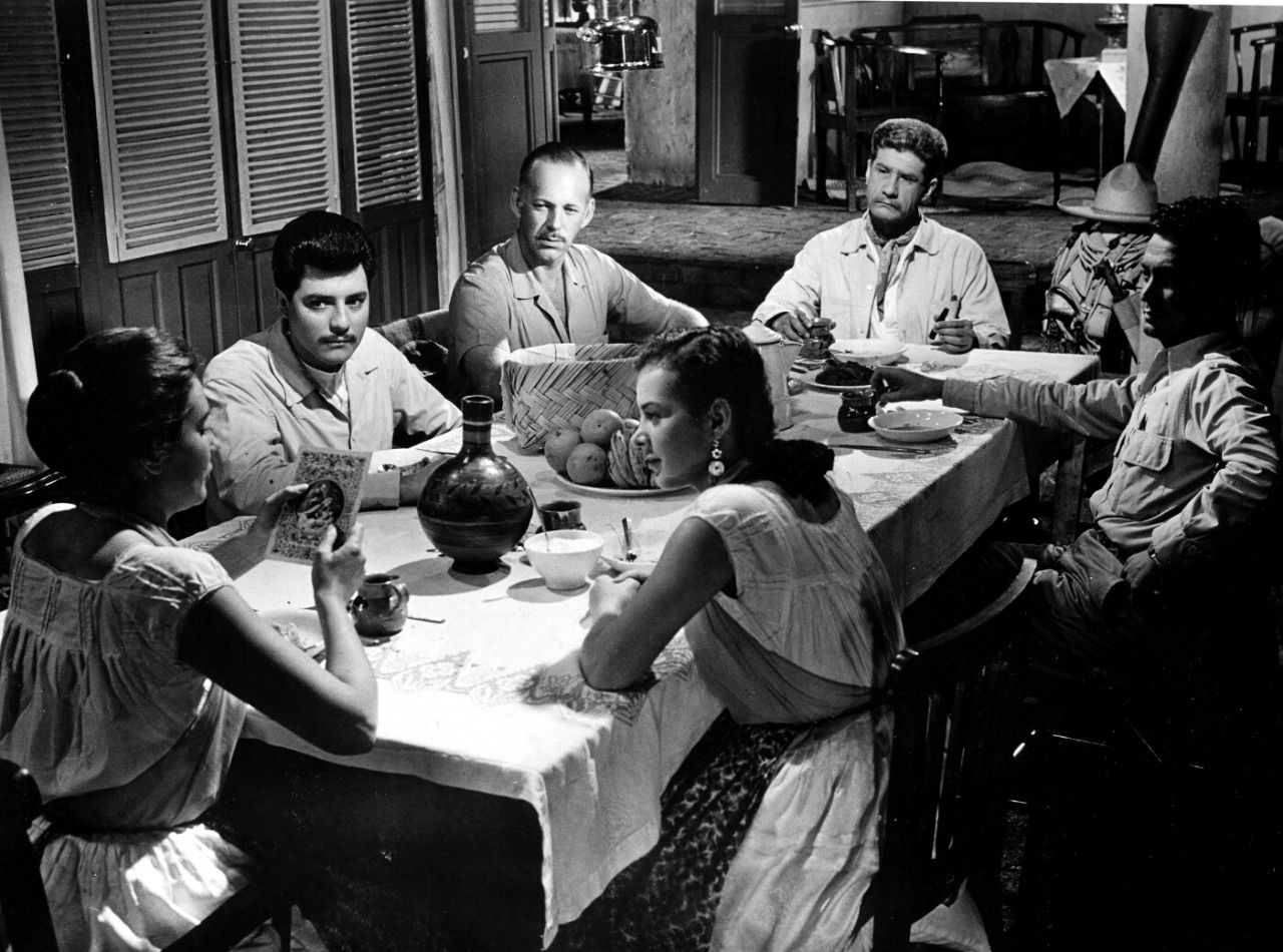 La rosa blanca Películas