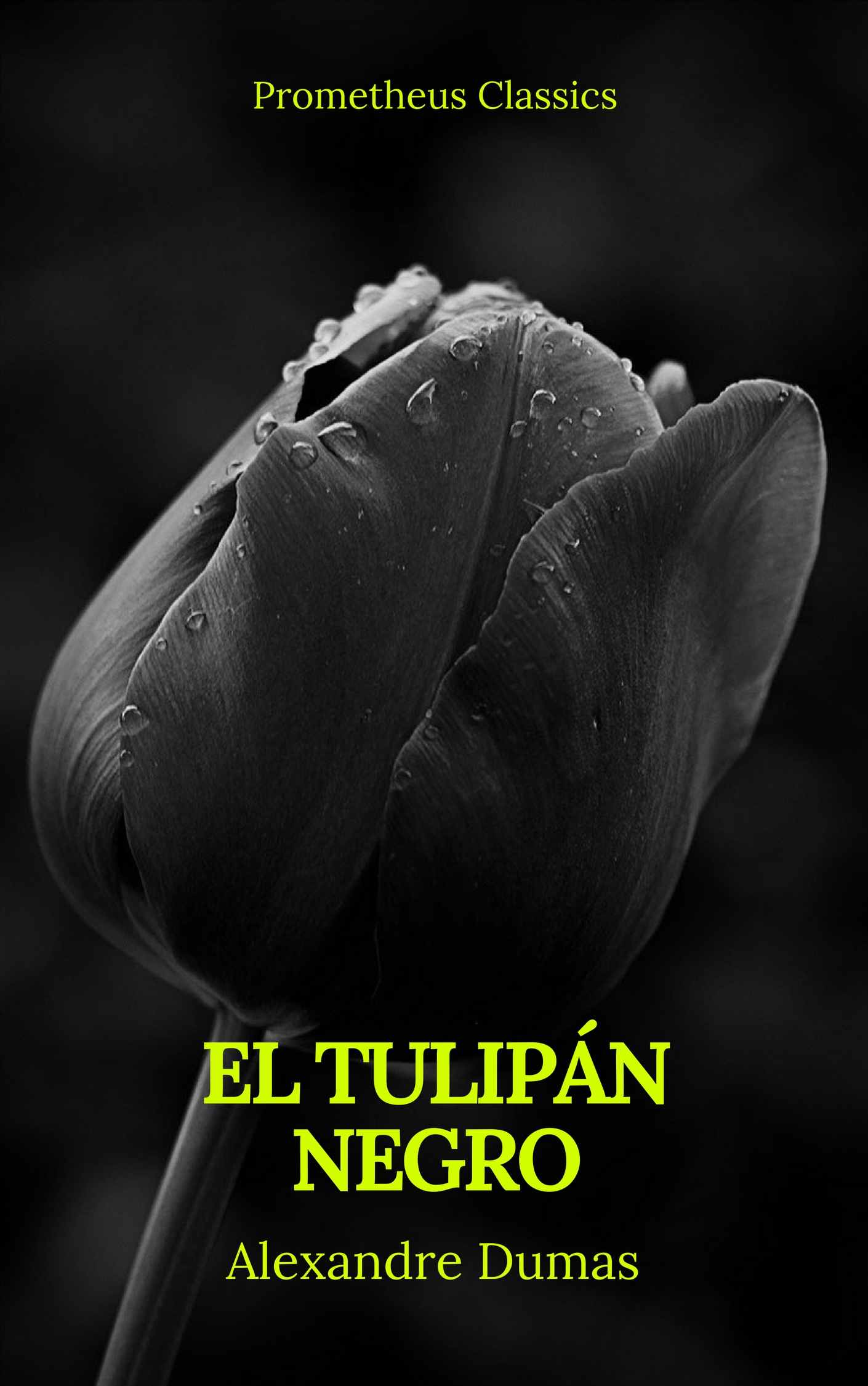 El Libro Total. El tulipán negro. Alejandro Dumas (Padre)