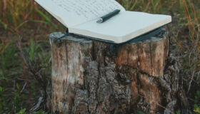 Libro blanco. Foto por Nick Brookenheimer en Unsplash