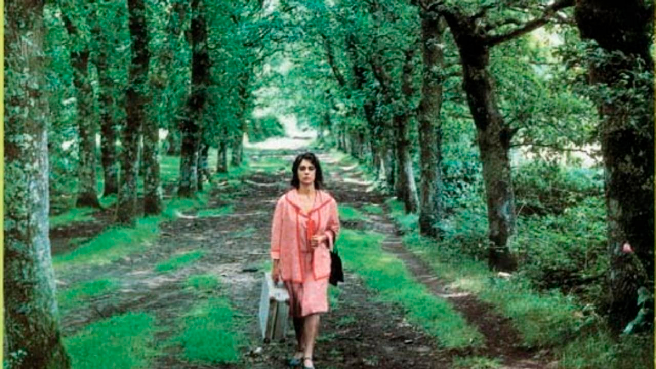 El bosque animado Películas Españolas